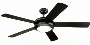 Westinghouse 7801665 ceiling fan