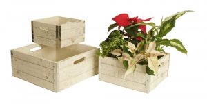 Wald Imports Set of 3 Whitewash Decorative Wood Crates