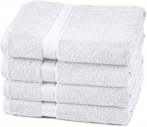 Pinzon 4 Piece Egyptian Cotton Bath Towels Set