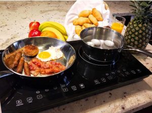 Evergreen Home 1800 W Double Digital Induction Cooktop