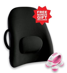 Obus Forme Ergonomic Wheelchair Cushion Backrest Support