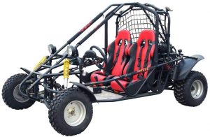 Kandi Smart 150cc 2 Seat Gokart