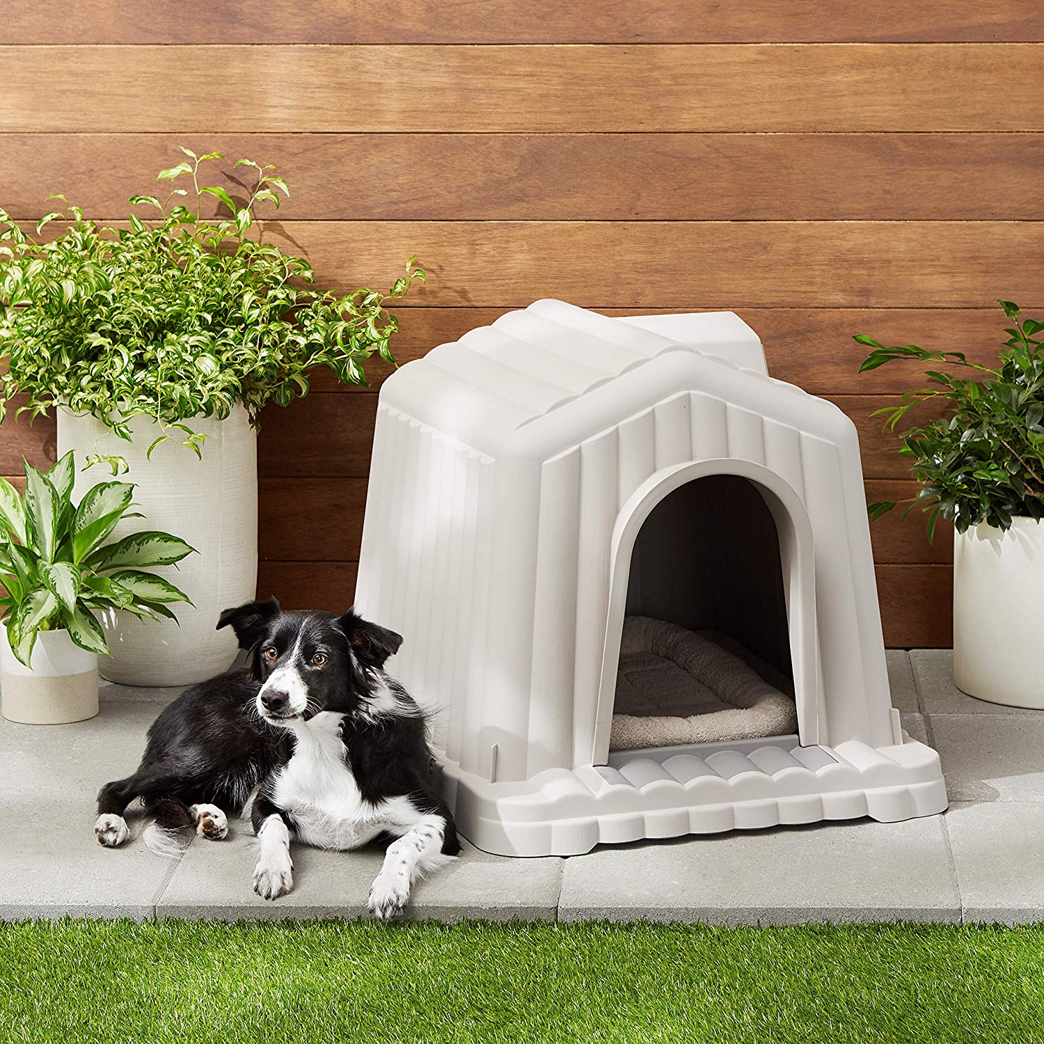 Top 10 Best Indoor Dog Houses for Medium dogs in 2020 Reviews