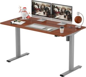 FLEXISPOT EG1 Essential Standing Desk