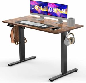 Standing Desk, 48 x 24 in Electric Height Adjustable Computer Desk